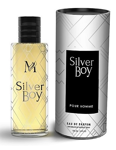 SILVER BOY  EAU DE PARFUM 100 ML EQUIVALENTE BOIS D’ARGENT DIOR